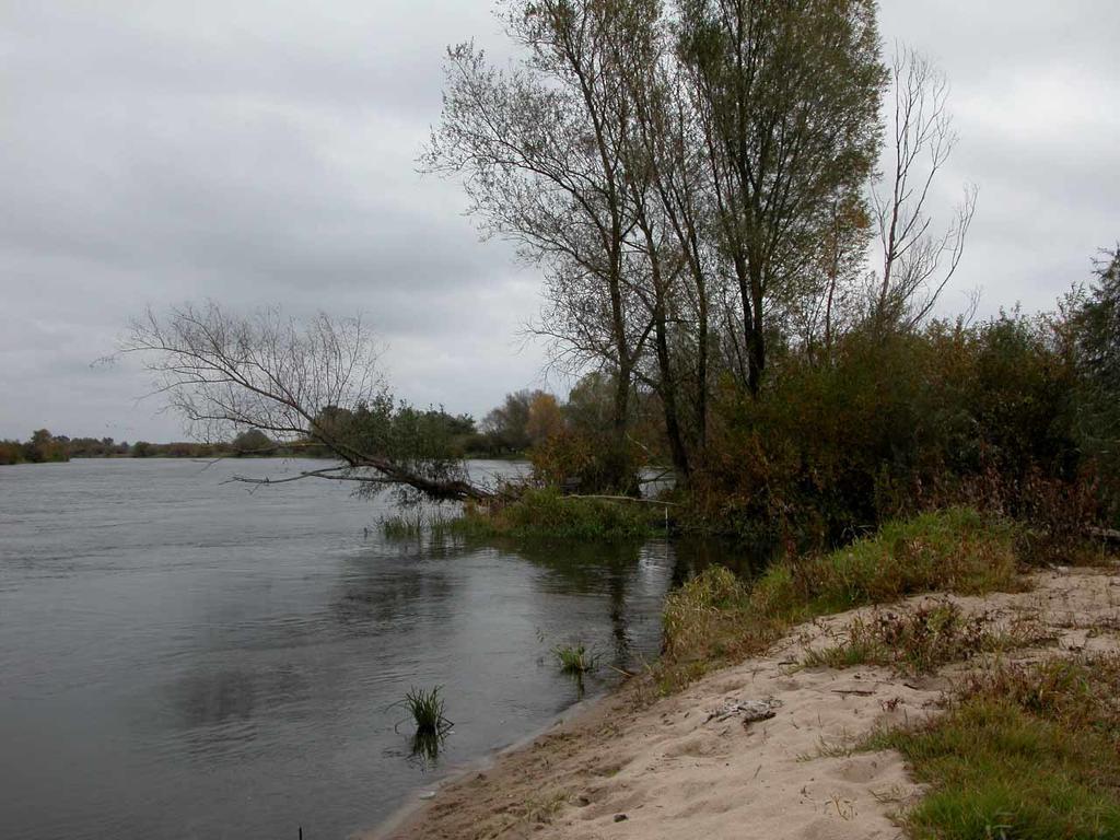 Agroturystyka u Ostrowskich Willa Chartow Zewnętrze zdjęcie