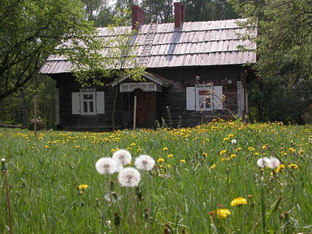 Agroturystyka u Ostrowskich Willa Chartow Zewnętrze zdjęcie