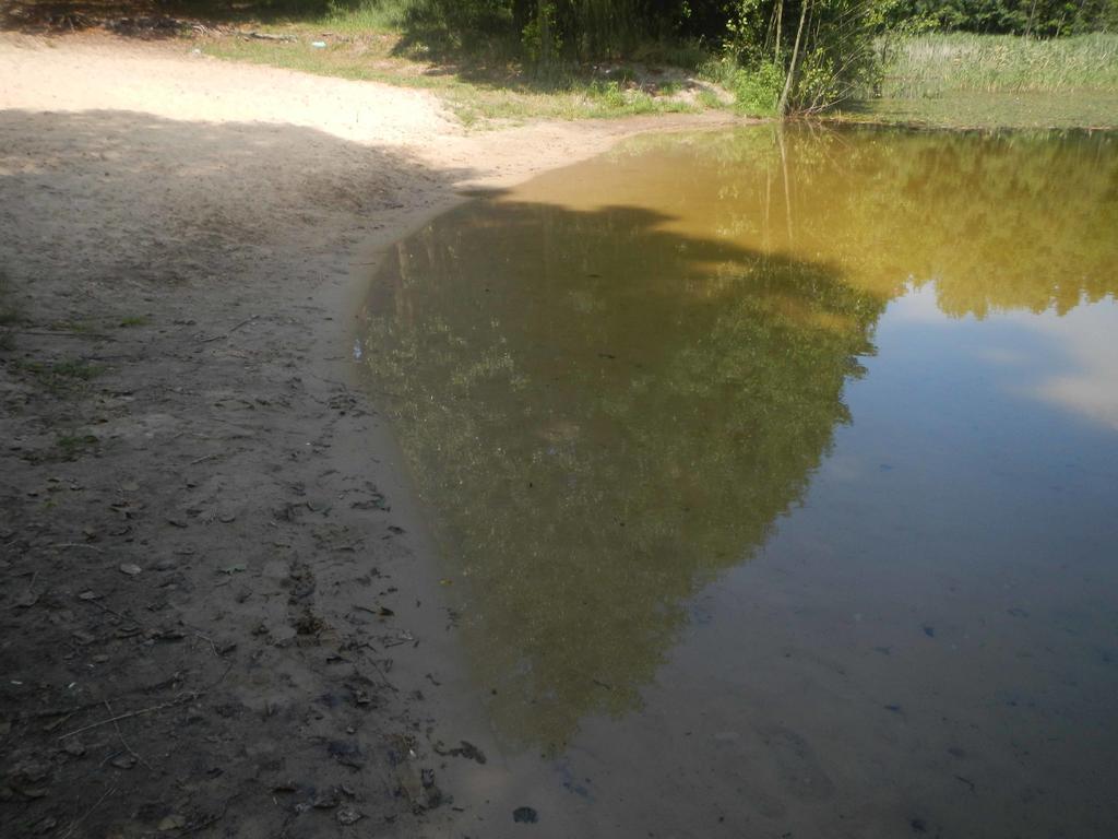 Agroturystyka u Ostrowskich Willa Chartow Zewnętrze zdjęcie